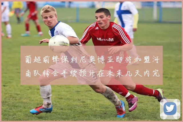 葡超前锋保利尼奥博亚即将加盟河南队转会手续预计在未来几天内完成