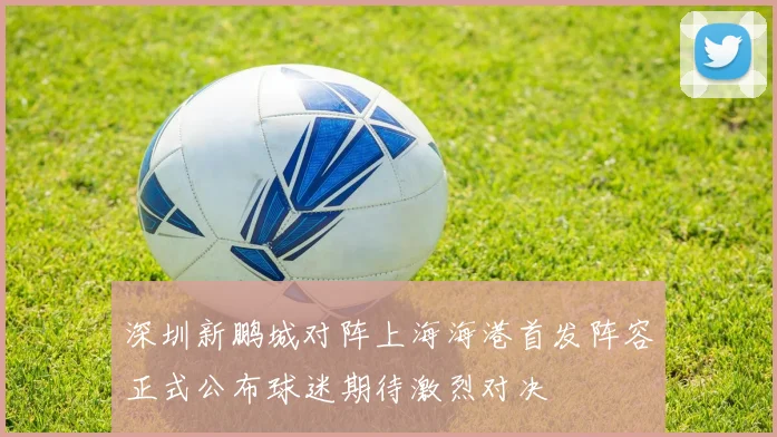 深圳新鹏城对阵上海海港首发阵容正式公布球迷期待激烈对决