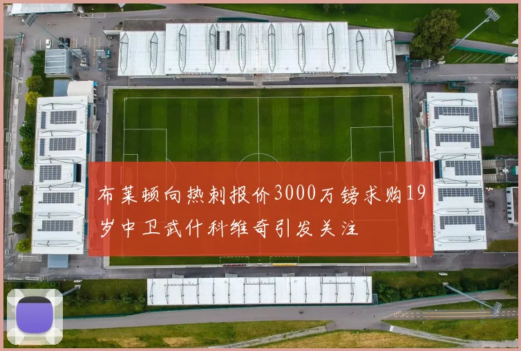 布莱顿向热刺报价3000万镑求购19岁中卫武什科维奇引发关注